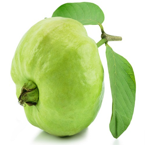 পেয়ারা
